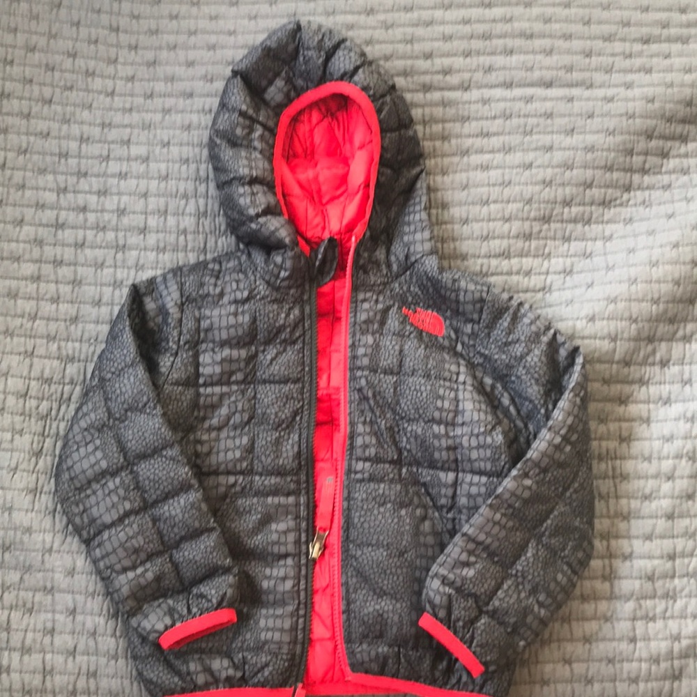 The North Face Thermoball Winter Coat